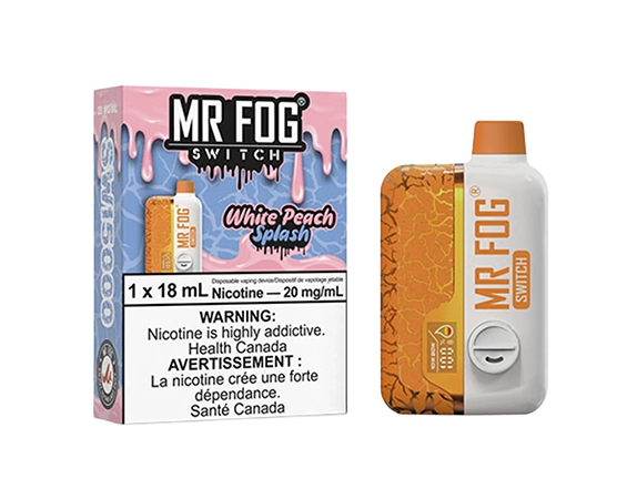 how much is elf bar vape Wintergreen Mr Fog Nova