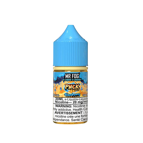 MR FOG PNCK Blueberry e-liquid bottle, 30ml size with 20mg nicotine strength, featuring rich wild blueberry flavour